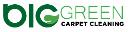 Big Green Carpet Cleaning logo